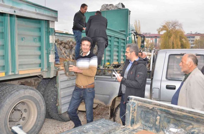 Elbistan’da Üreticilere Hibe Destekli Alıç Fidanı Dağıtıldı