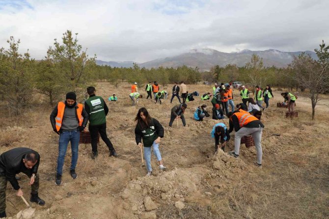 Fidanlar Toprakla Buluştu