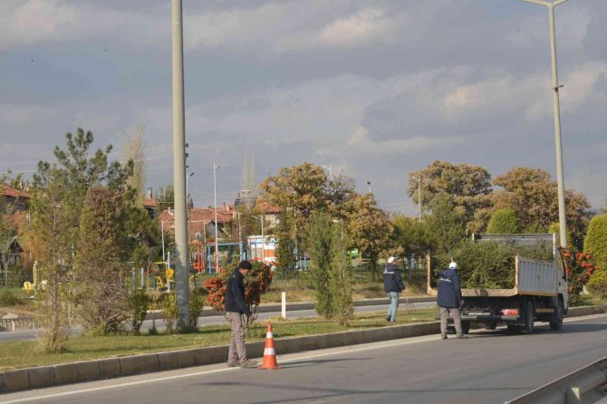 Gediz’de Yeşil Alanların Kış Bakımı Yapılıyor