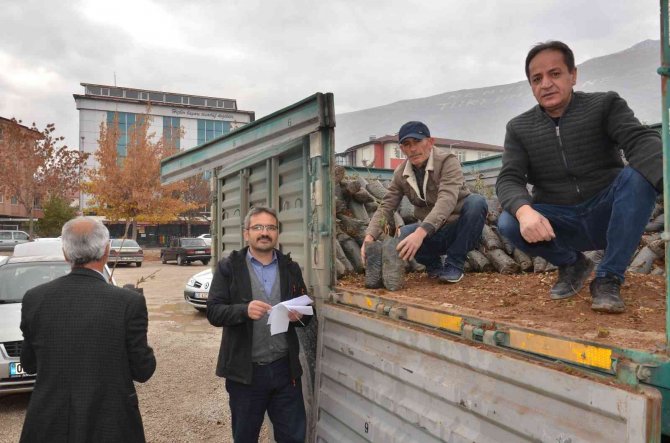 Elbistan’da Üreticilere Hibe Destekli Alıç Fidanı Dağıtıldı