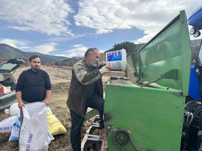 ‘Bulgurun Atası’ Siyezin Ekimine Başlandı