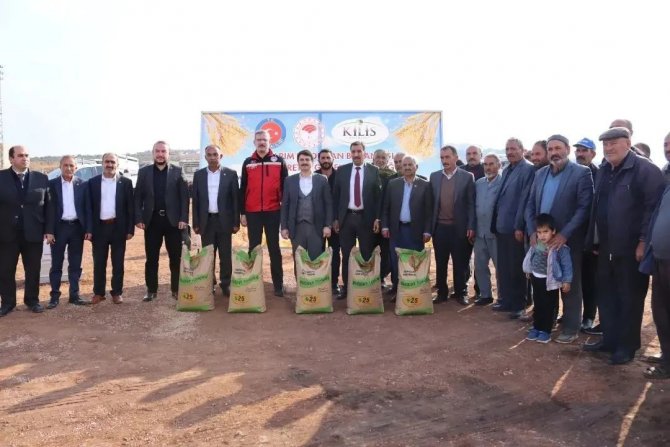 Tohumluk Buğday Dağıtımı Tamamlandı