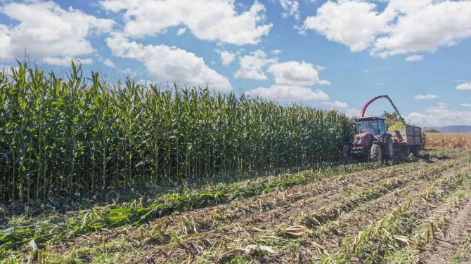 Denizlili Üreticinin Yüzü Aldığı Dev Yardımlar Sayesinde Gülüyor