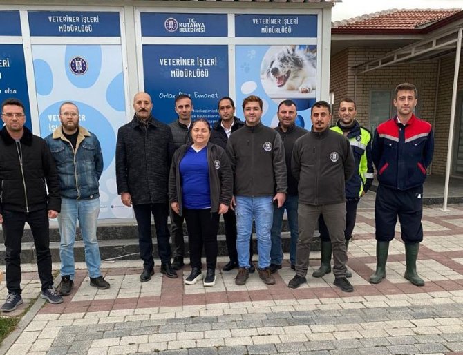 Kütahya’da Sokak Hayvanlarına Belediye Şefkati