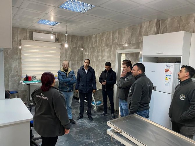 Kütahya’da Sokak Hayvanlarına Belediye Şefkati