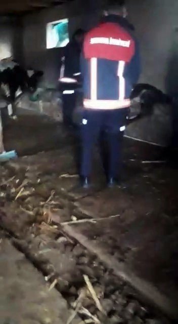 Yemliğe Düşerek Sıkışan İneği İtfaiye Kurtardı