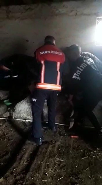 Yemliğe Düşerek Sıkışan İneği İtfaiye Kurtardı