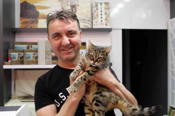 Kamyonun Kasasında Bulduğu Kediyi 5 Yıldır Dükkânında Besliyor