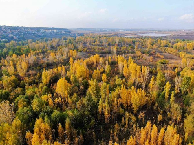 Unesco’nun Göz Bebeği Rengarenk