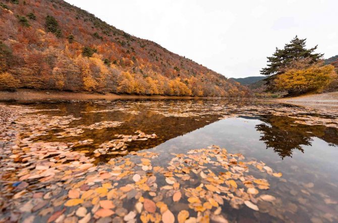 Boraboy Gölü Tabiat Parkı’nda Renk Cümbüşü
