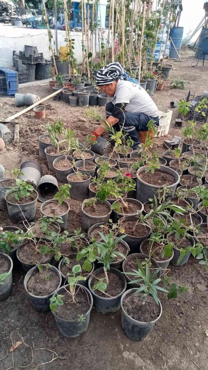 Ortaca’da Yeşil Alanlarda Bakım Çalışması