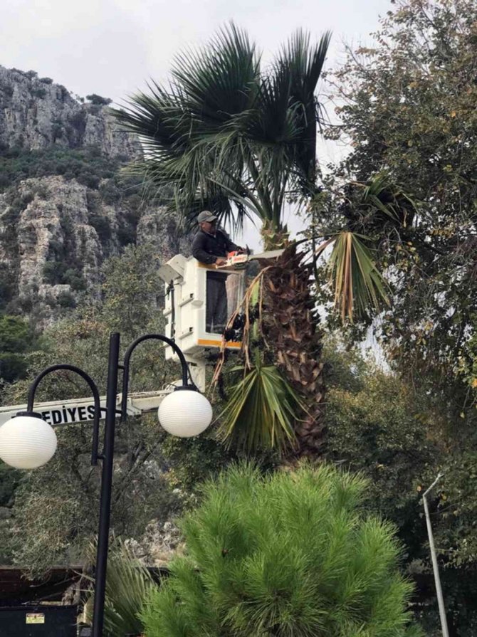 Ortaca’da Yeşil Alanlarda Bakım Çalışması