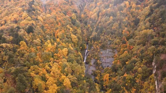 Şehrin İçinde Çağlayan Güzellik