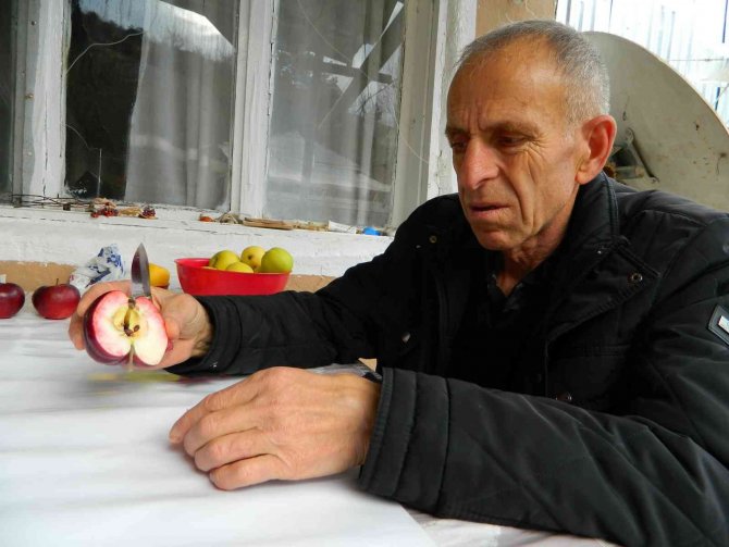 Bu Elma Sadece Posof’ta Yetiştiriliyor
