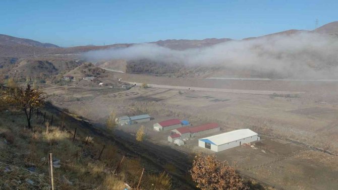 Bingöl’de Yoğun Sis Etkili Oldu