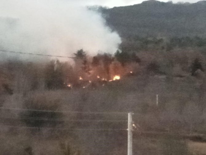 Bolu’da Ormanlık Alanda Çıkan Yangın Korkuttu