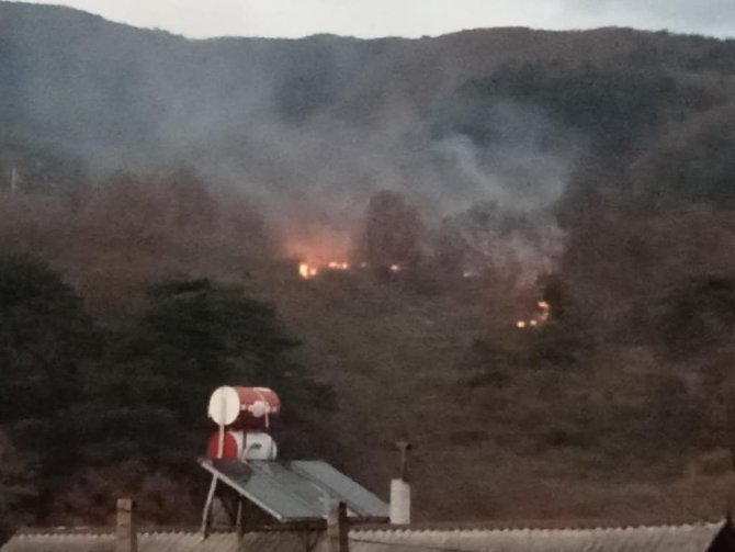 Bolu’da Ormanlık Alanda Çıkan Yangın Korkuttu