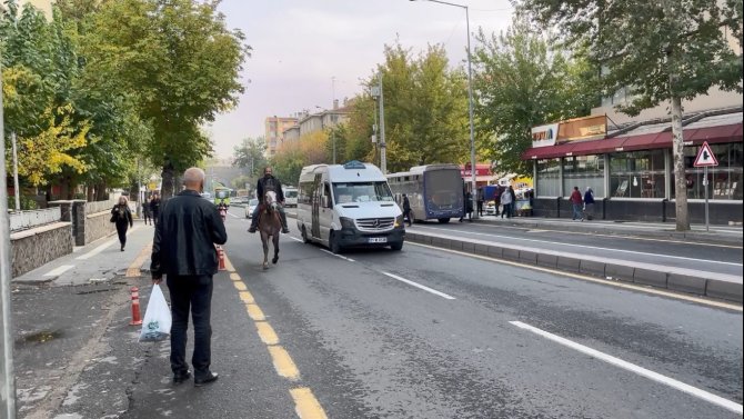 Şehrin Ortasında Atla Tur Attı