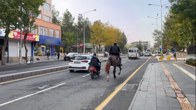 Şehrin Ortasında Atla Tur Attı
