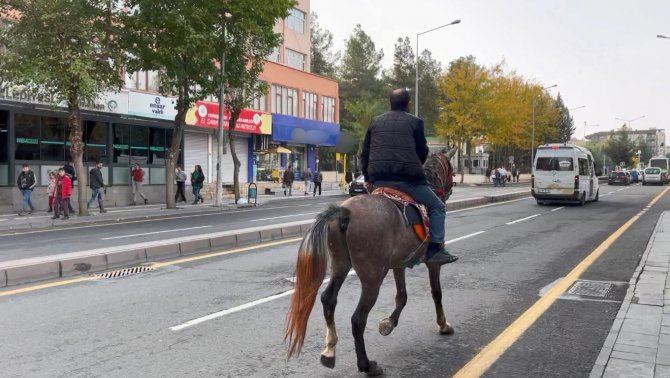 Şehrin Ortasında Atla Tur Attı