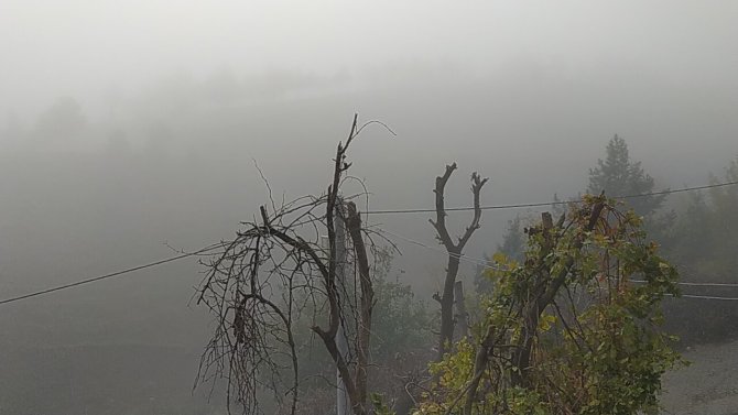 Silvan’da Yoğun Sis Etkisi