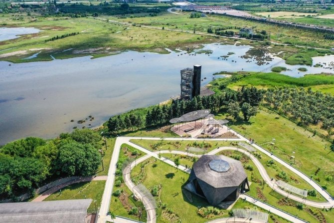 Hersek Lagünü’nde Kuş Türü 248’e Yükseldi