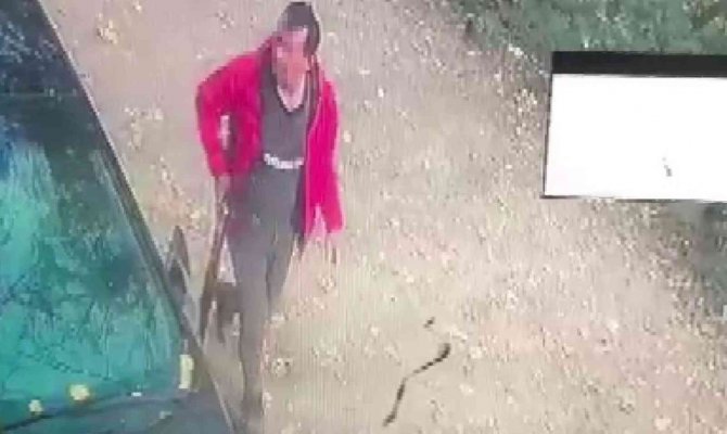 Tavuklarına Saldırdığı Gerekçesiyle Sokak Köpeğine Ateş Açtı