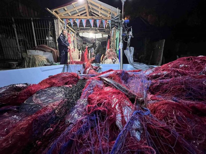 Denizanaları Karadenizli Balıkçıları Canından Bezdirdi