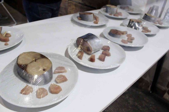 Sinop’ta Düzenlenen ’Lakerda Festivali’ Sona Erdi