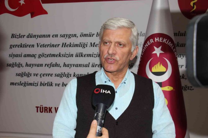 Tvhb Başkanı Eroğlu: "(Sahipsiz Hayvanlarının Barınaklara Yerleştirilmesi Hakkında) Bu Tip Önlemlerin Alınması Gerektiğini Düşünüyoruz"