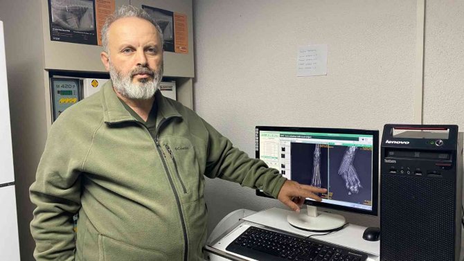 Otomobilin Çarptığı Kedinin Parmakları Kırıldı