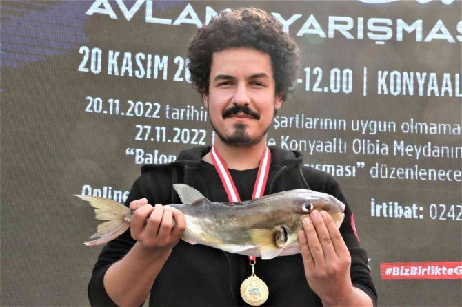 Balıkçılar, Korkulu Rüyası Haline Gelen Balon Balığını Yakalamak İçin Yarıştı