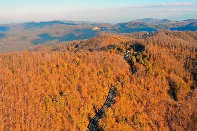 Zonguldak Ormanlarında Sonbahar Güzelliği
