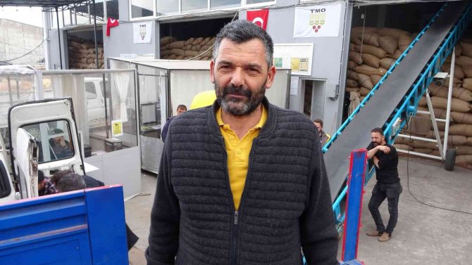 Ordu’da Tmo’nun Fındık Alımları Sürüyor