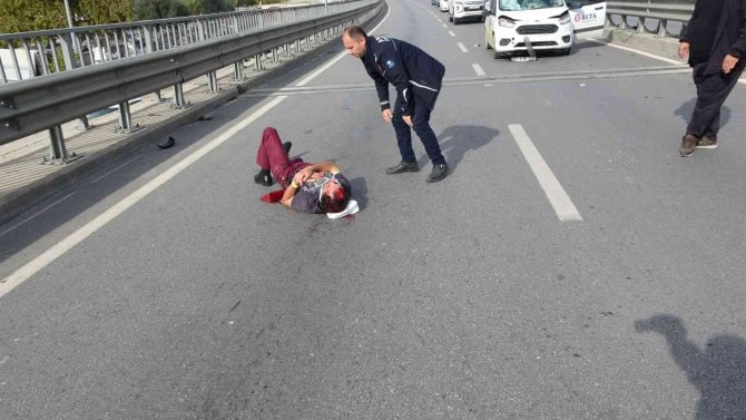 Kalbi Duran İ̇rlandalı Kadın, Att’lerin Kalp Masajıyla Hayata Tutundu