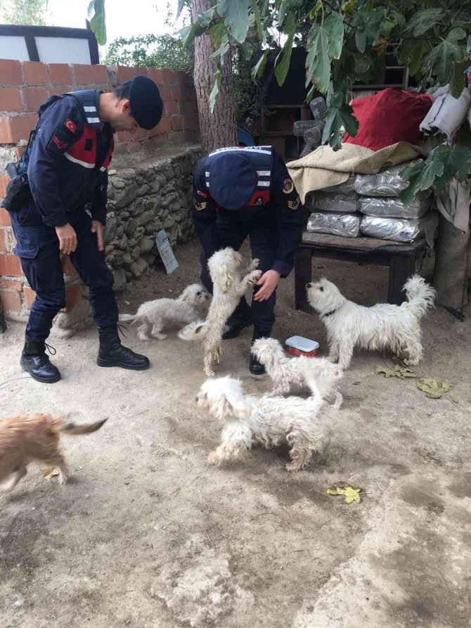Jandarma Can Dostları Unutmadı