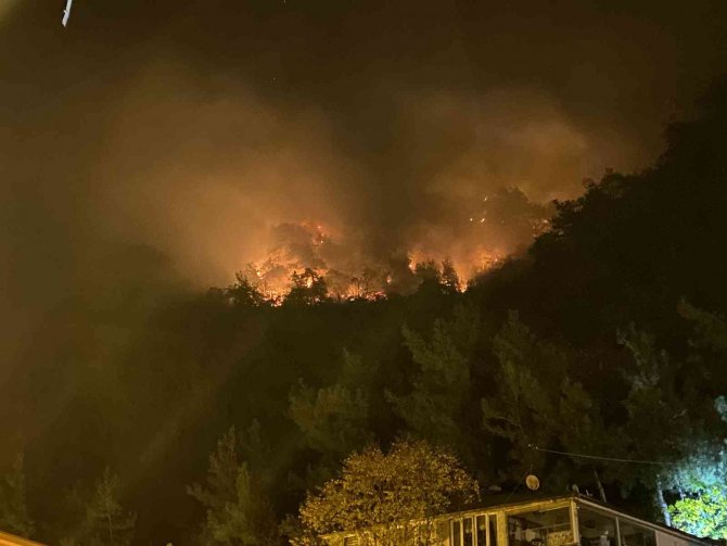 Bartın’da Orman Yangını: 4 Kişi Gözaltına Alındı