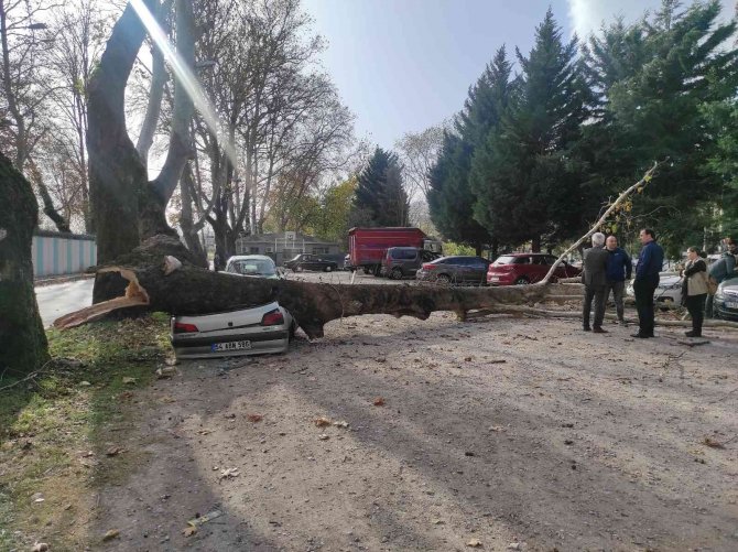 Facianın Eşiğinden Dönüldü: Aracını Bırakıp Okula Gitti, Dakikalar Sonrası Korkunç