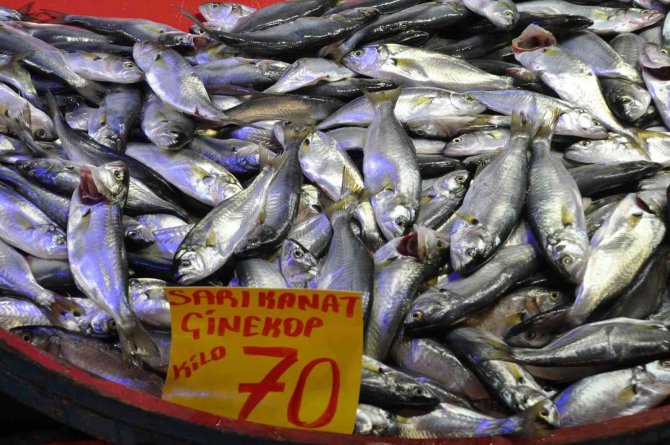 Mudurnu’da Pazar Tezgahlarında Balık Bolluğu