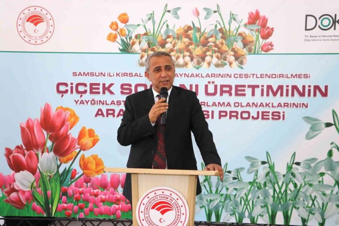 150 Bin Lale Soğanı Toprakla Buluştu