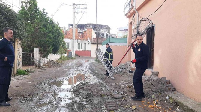 Evden Kaçan Yavru Rus Kedisi, 2 Gün Ağaçta Mahsur Kaldı