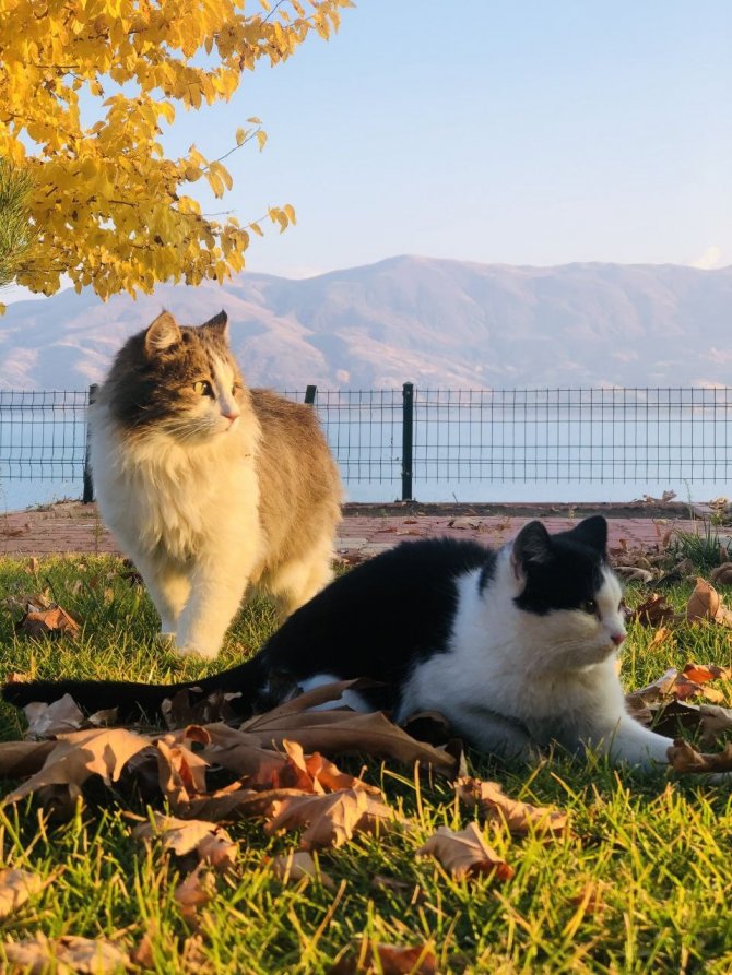 Doğunun Gizli Denizi Hazar Gölünde Sonbahar Güzelliği
