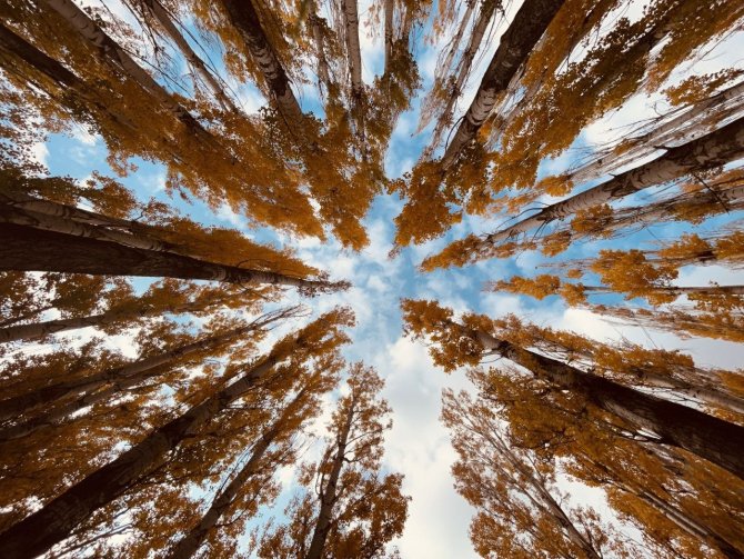 Doğunun Gizli Denizi Hazar Gölünde Sonbahar Güzelliği