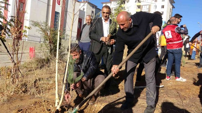 Yüksekova’da 2 Bin 700 Fidan Toprakla Buluşturuldu