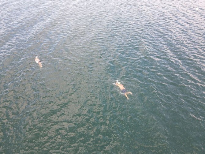 Kasım Ayının Ortasında Gölde Yüzdüler