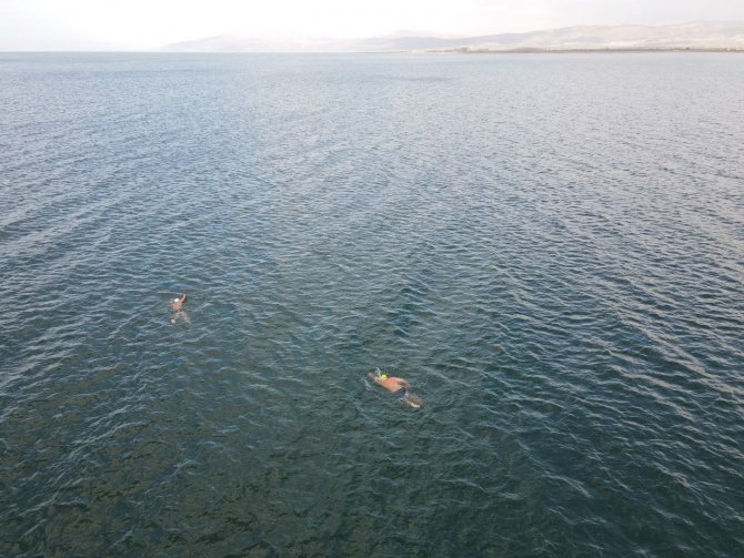 Kasım Ayının Ortasında Gölde Yüzdüler