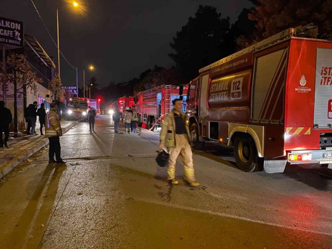 Kartal Aydos Ormanı’nda Çıkan Yangın Söndürüldü