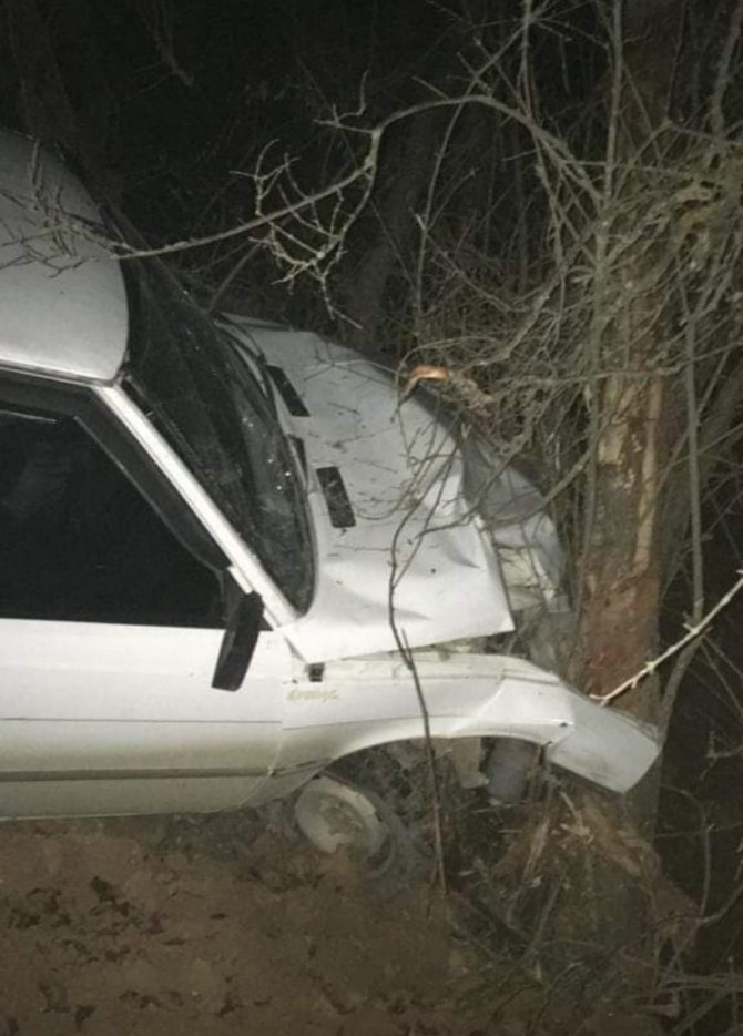 Yoldan Çıkan Otomobil Ağaçlara Çarparak Durabildi: 1 Yaralı