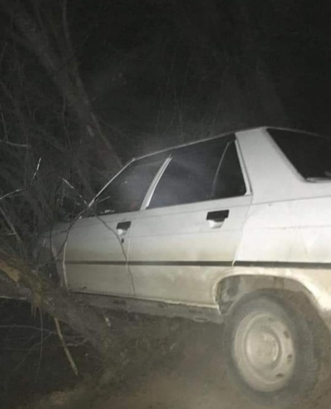 Yoldan Çıkan Otomobil Ağaçlara Çarparak Durabildi: 1 Yaralı