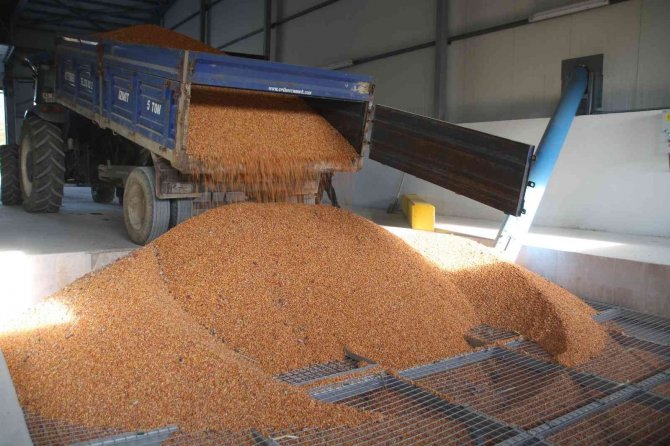 Derince’nin Tarımsal Kalkınma Tesisleri, Üç Önemli Tesisi Bünyesinde Bulunduruyor